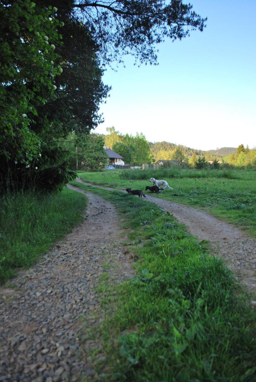 Adrspach U Meieru Affittacamere Esterno foto